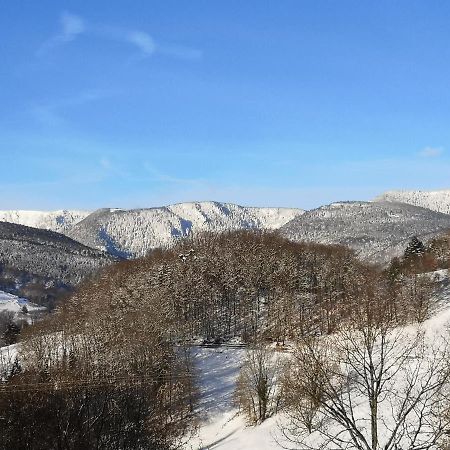Villa Les Effraies Hohrod Esterno foto