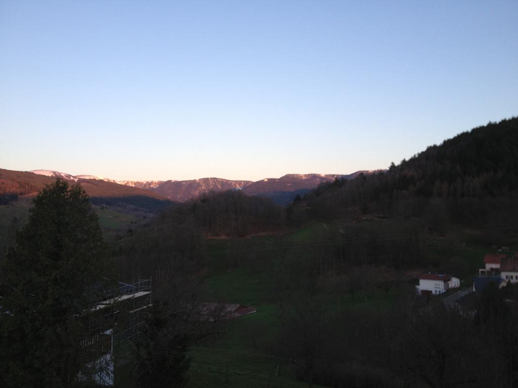 Villa Les Effraies Hohrod Camera foto