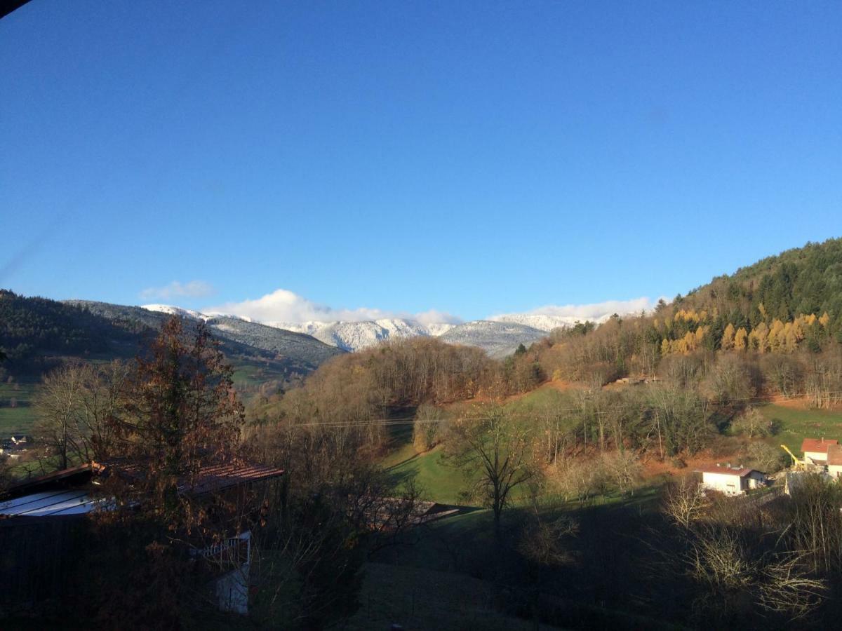 Villa Les Effraies Hohrod Esterno foto